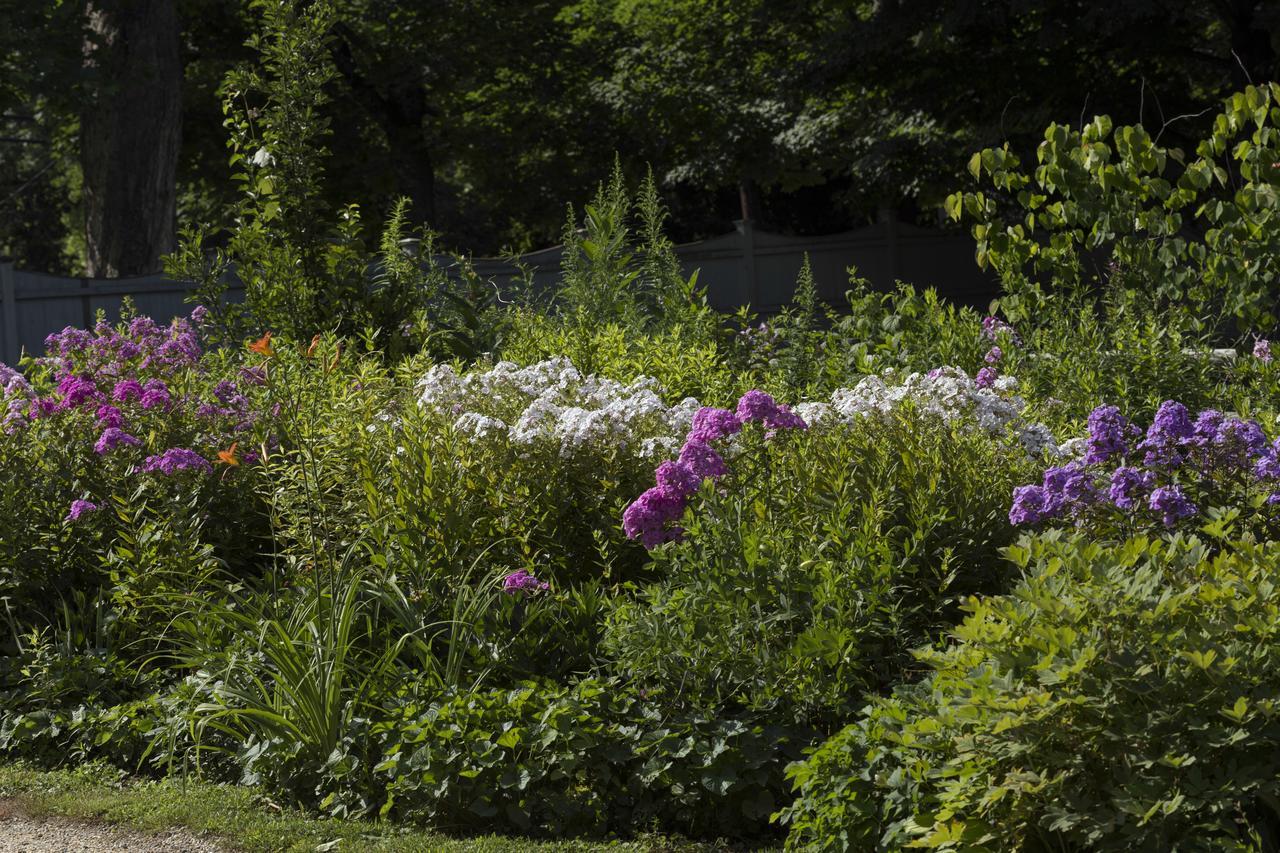 Staveleigh House Bed And Breakfast Sheffield Exterior foto